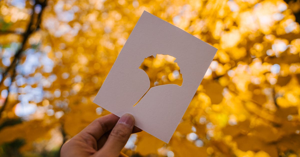 Can you dry out pickle brine to leave a seasoned salt? - Person showing card against yellow autumn leaves