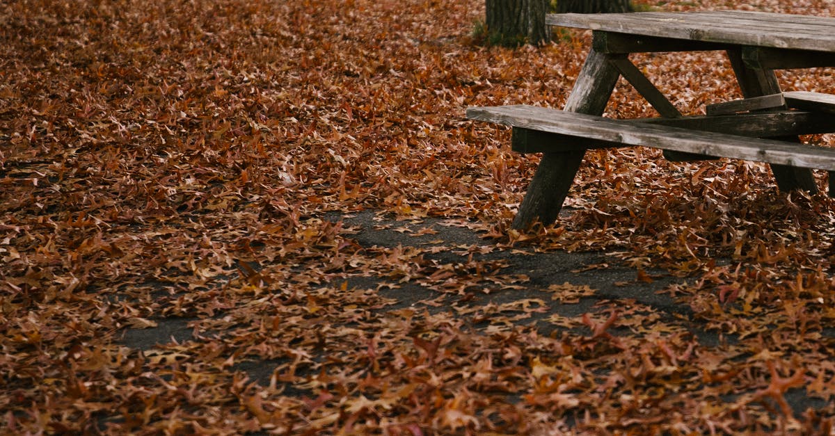 Can you dry out pickle brine to leave a seasoned salt? - Empty wooden bench placed in autumn park