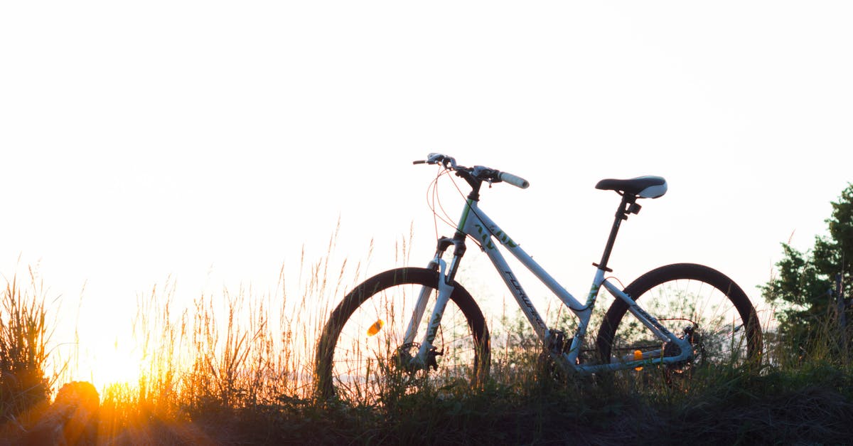 Can you refreeze spring roll wrappers. [duplicate] - Teal Hardtail Bike on Green Grass