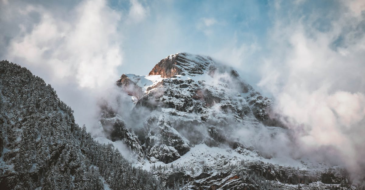 Can you roast vegetables before freezing instead of blanching? - Snow-covered Mountain Peak