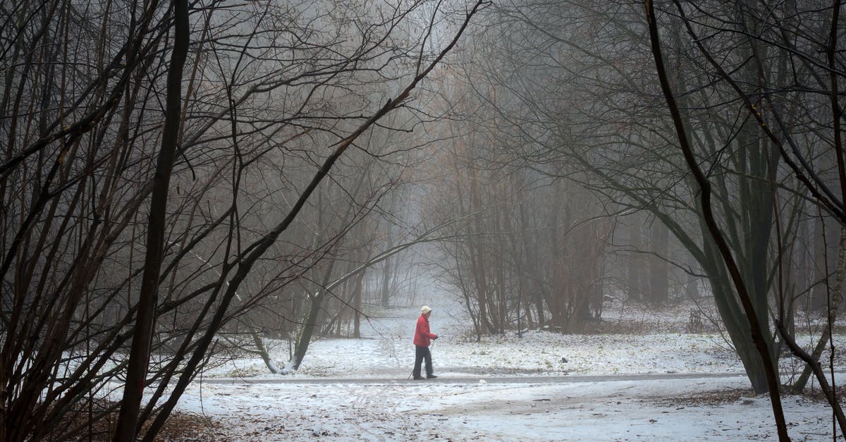 Can you thaw a frozen turkey in a dryer? - Person Walking on Snow Covered Pathway Between Bare Trees