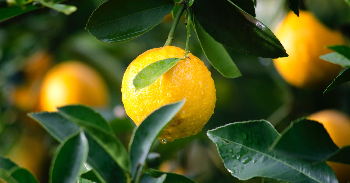 Canned Stewed Tomatoes without lemon juice - Shallow Focus Photography of Yellow Lime With Green Leaves