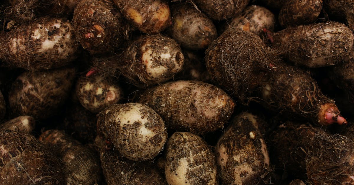 Canned yams vs. fresh - Close-Up Shot of Yams