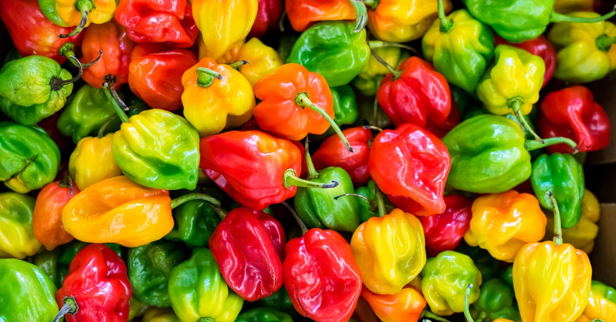 Canning Hot Peppers - Pile of Chilies