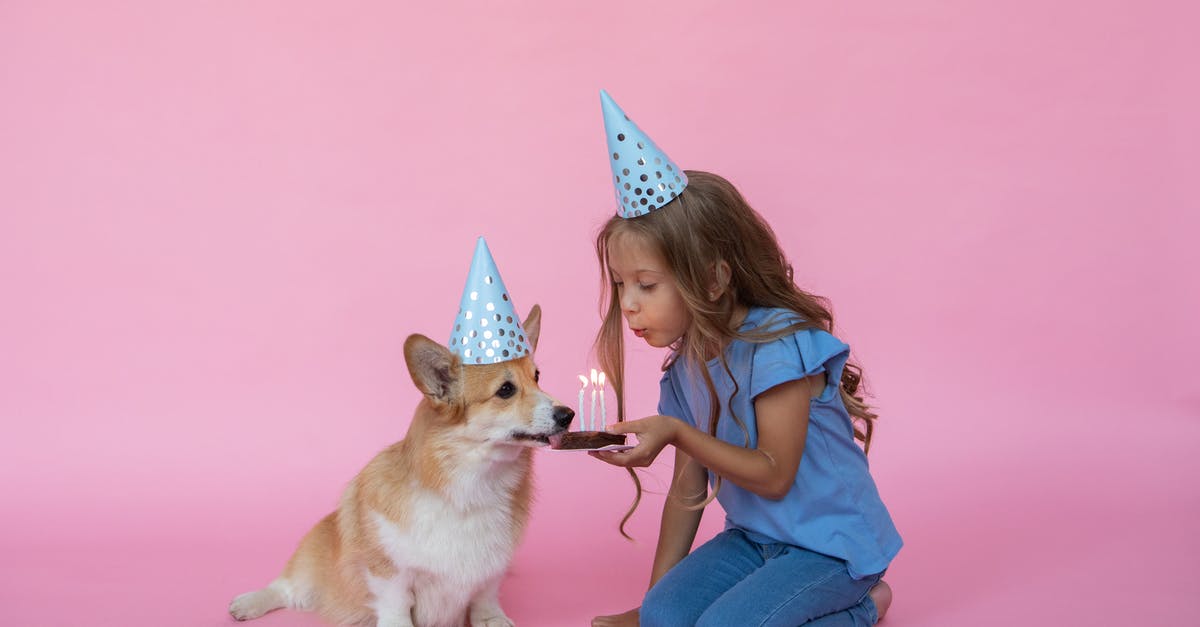 Canning with candles - Girl Celebrating Dogs Birthday