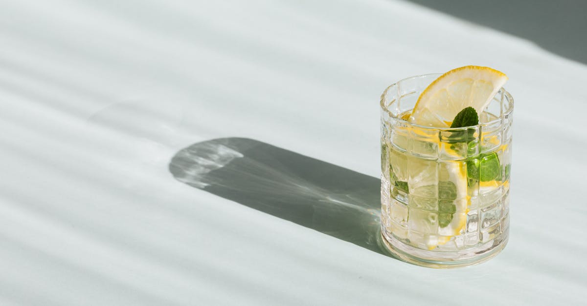 Caramel Apple cocktail garnish - Flat lay of glass of fresh beverage with slices of lemon and leaves of mint placed on white background