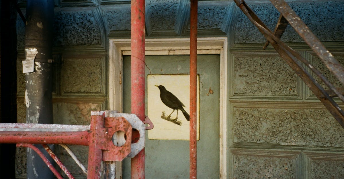 Cast Iron Skillet with Lid Rusted togethe - Brown Bird Painting on Door