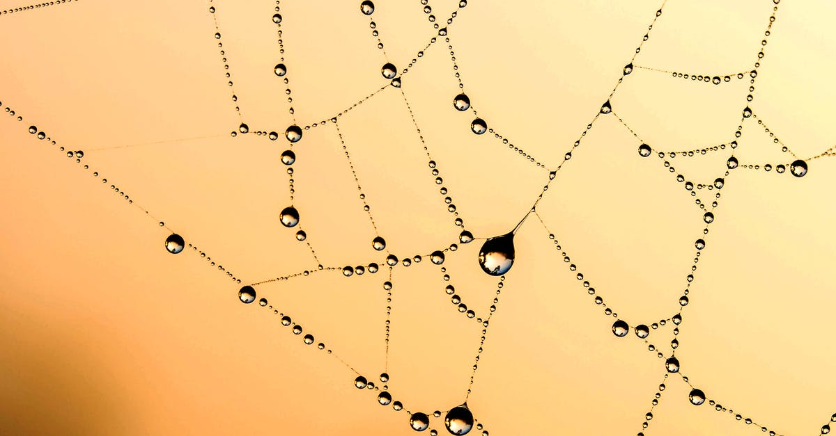 Chemistry of making carbonated water? - Spider Web With Dew Vector Art