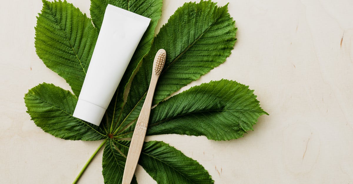 chestnut puree quantity - Organic toothpaste tube and bamboo toothbrush on fresh green leaf