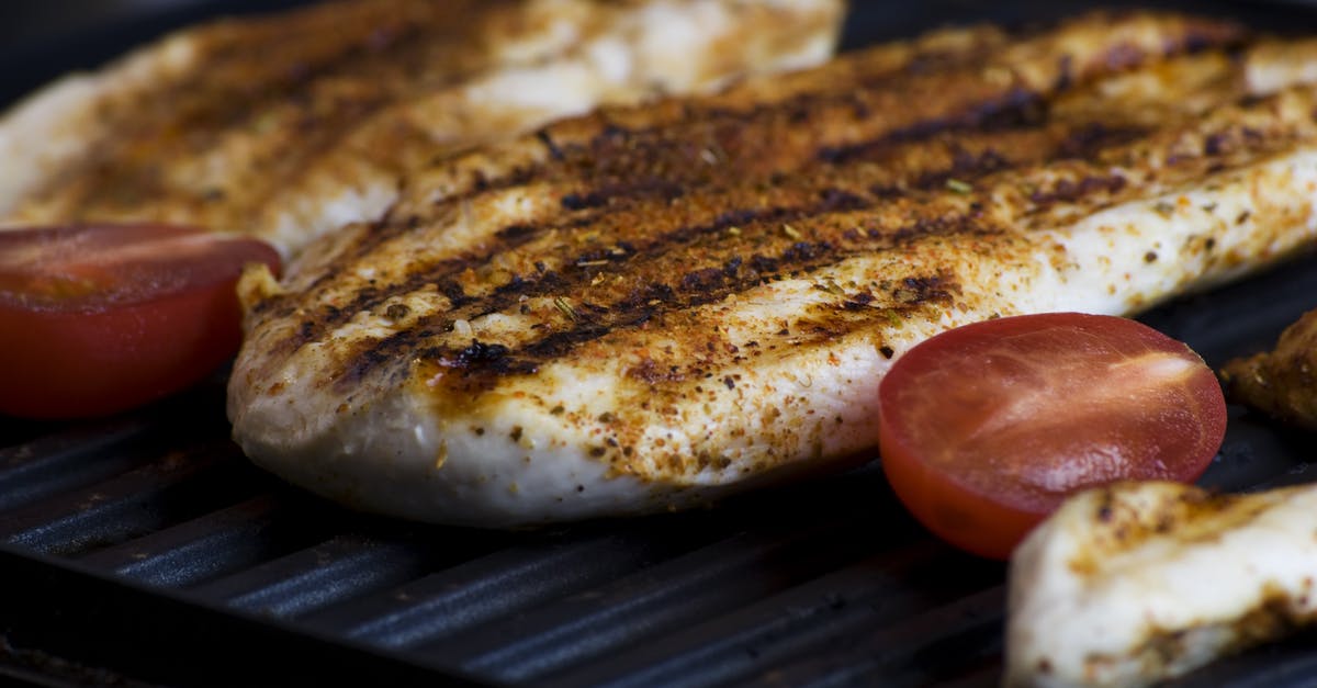 Chicken on a Brinkmann Smoker N Grill - Selective Focus Photography of Grilled Slice of Meat and Tomatoes