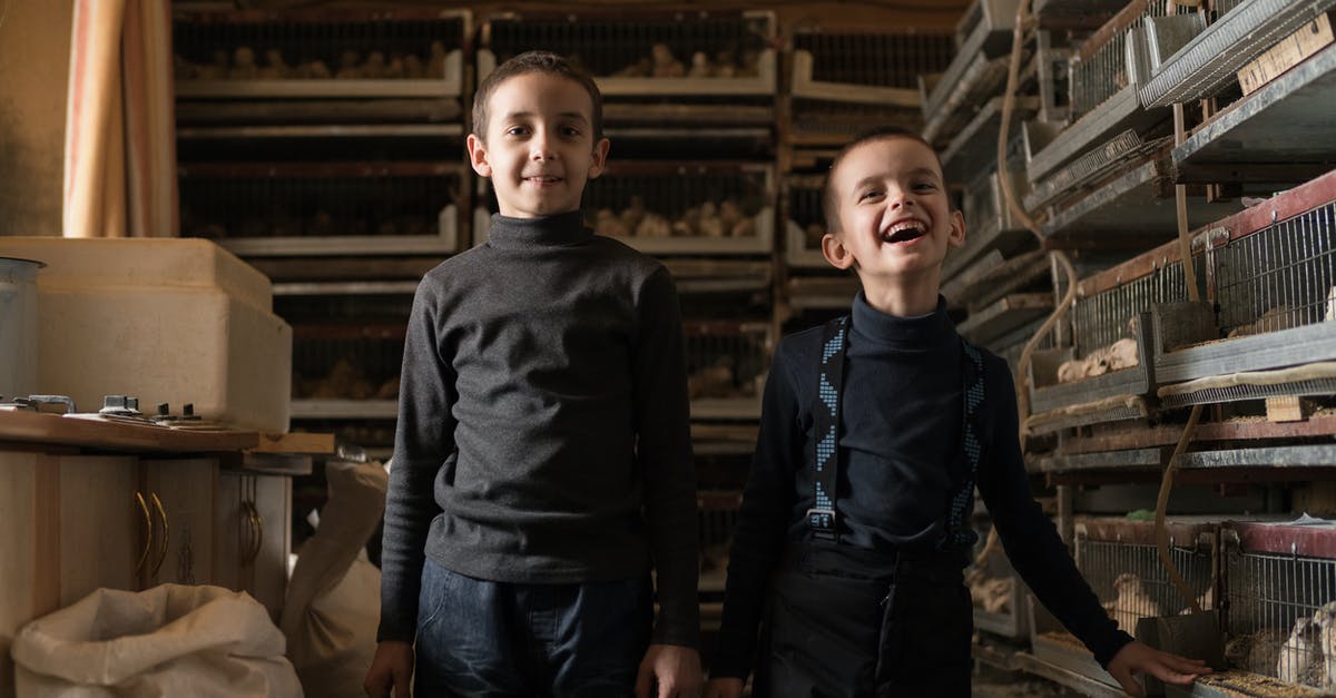 Chicken wrapper torn, meat is a little dry - Positive little children standing at bird factory