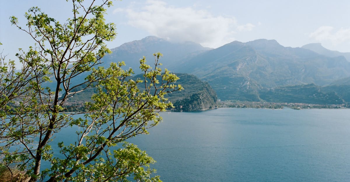 Chiffon gets stiff overnight - Picturesque scenery of blue sea rippling near rough rocky mountains and lush tree on sunny day