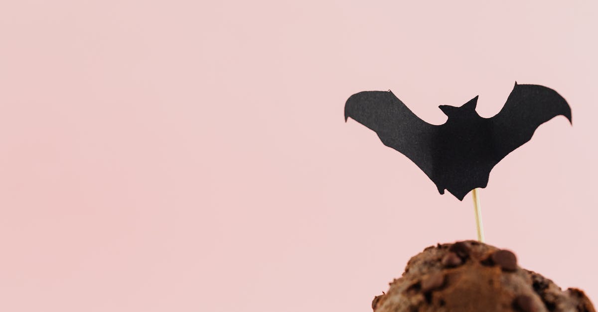 Chocolate used for decoration - Black Bird on Brown Rock