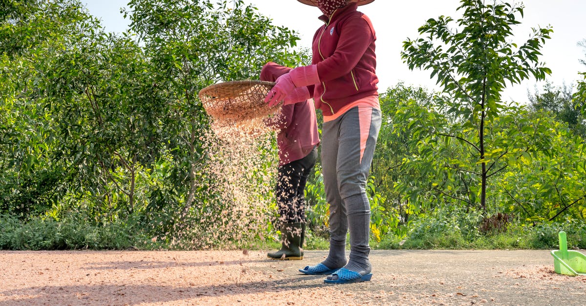 Cleaning a Sieve - Ethnic woman with tray sifting cereal in countryside