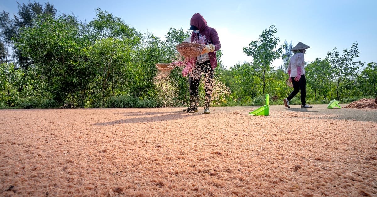 Cleaning a Sieve - Anonymous ethnic women with bamboo trays sifting cereal in sunlight