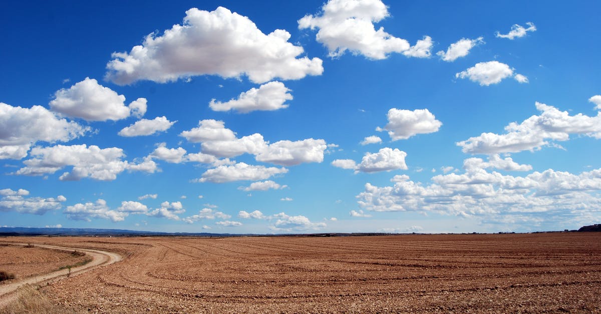 Cloudy white vinegar - Brown Field and Blue Sky