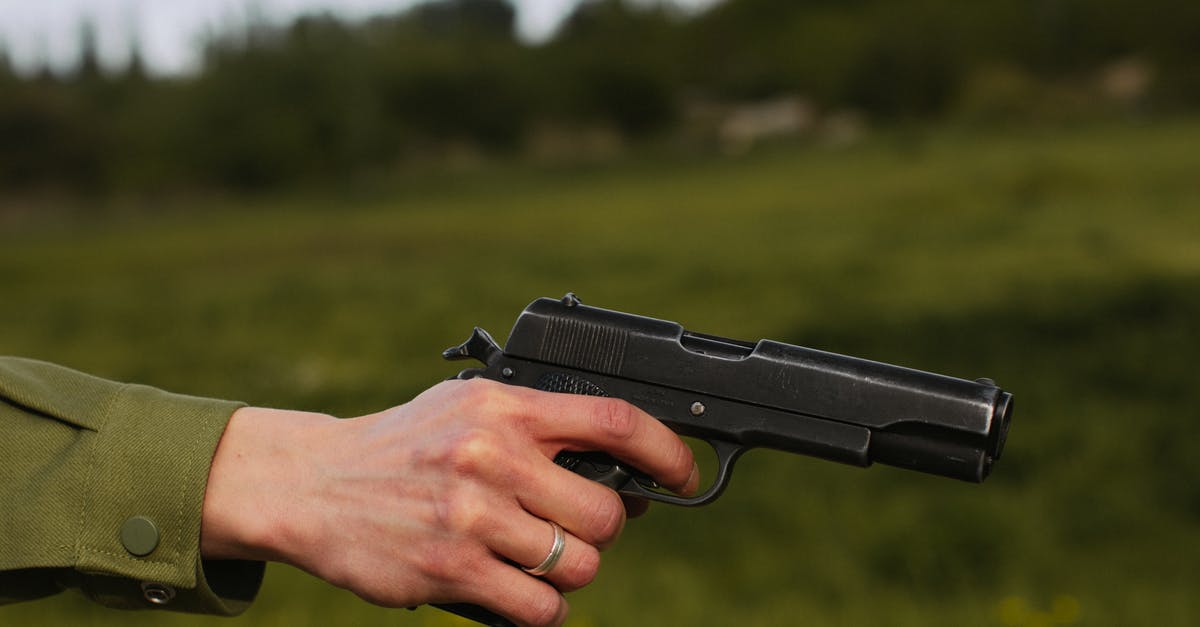 Cochinita Pibil [closed] - Person Holding Black Semi Automatic Pistol