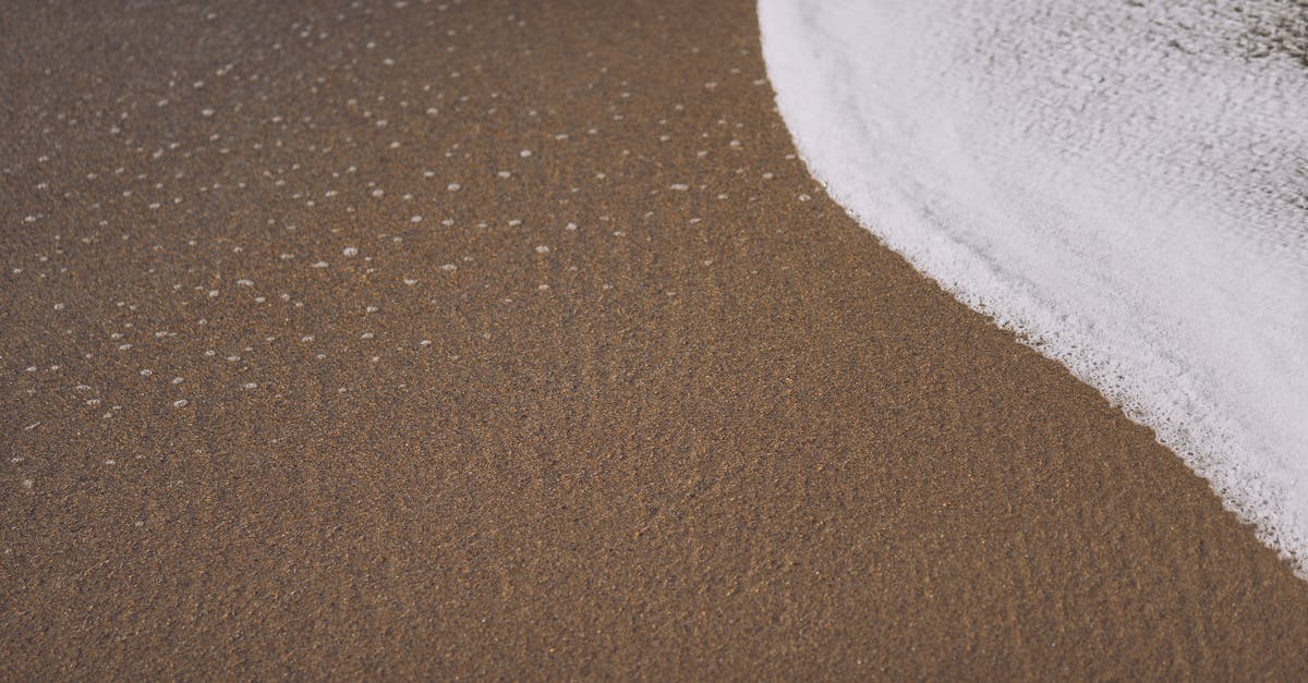 Coconut Water from White vs Brown Coconuts - Sandy beach with foamy ocean water in daylight