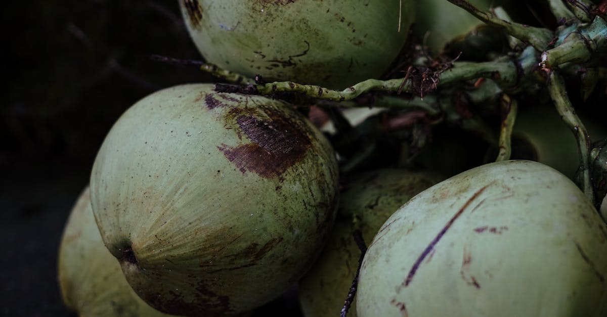 Coconut Water from White vs Brown Coconuts - Fresh coconut