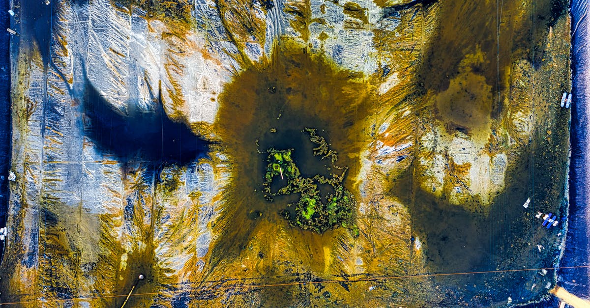 Coconut Water from White vs Brown Coconuts - Abstract background of artificial pond with spotted surface