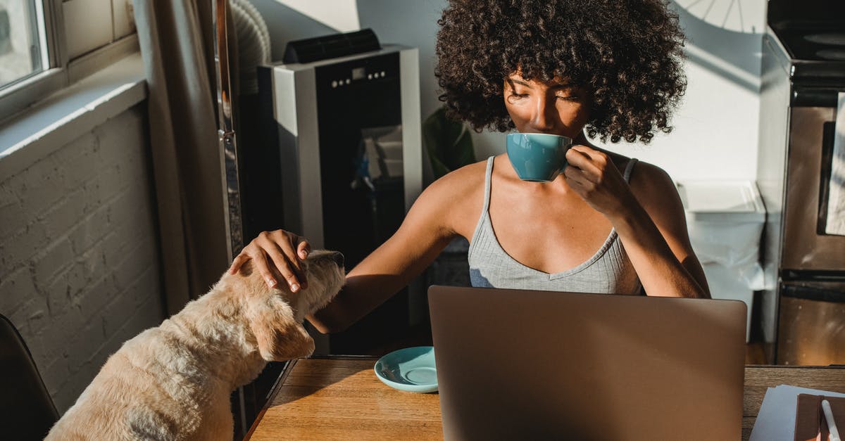 Coffee Soluability/Concentration - Concentrated young black woman working remotely on netbook while sitting in room at table and drinking coffee while petting dog