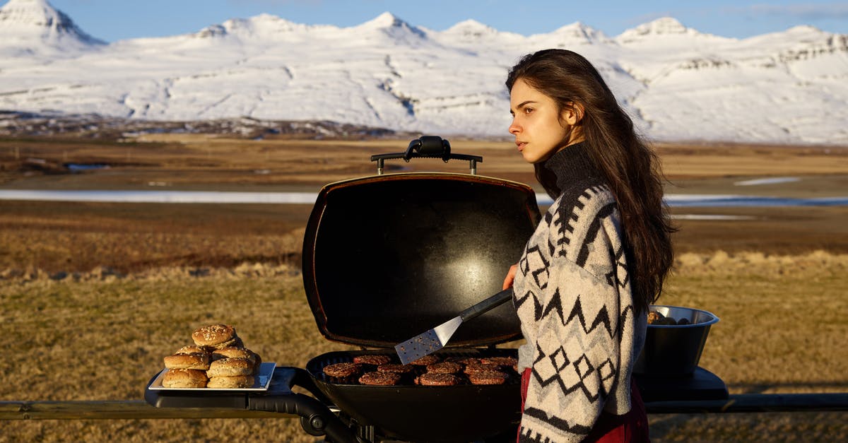 Cold Chinese BBQ Pork? - Side view of thoughtful young female traveler in warm clothes looking away and grilling steak during picnic in countryside in winter