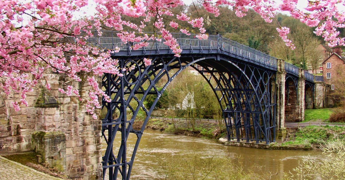 Commercial Kitchens in the UK - Cherry Blossom Tree Beside Black Bridge