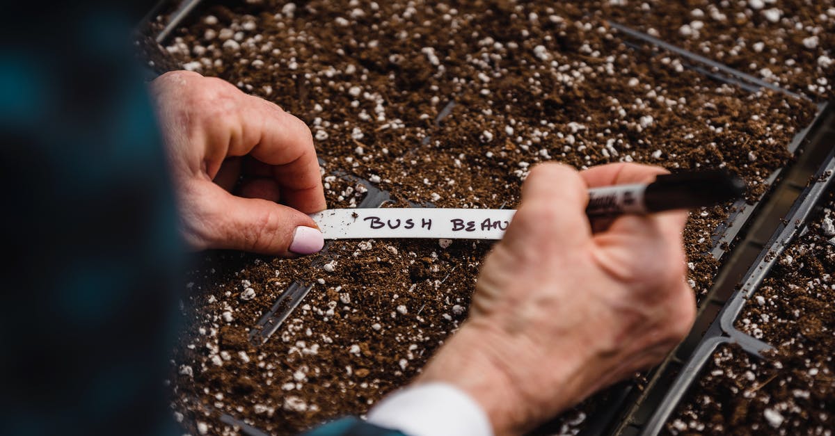 Convert seed based measurements to pre-ground? - Anonymous farmer taking notes on soil with seed