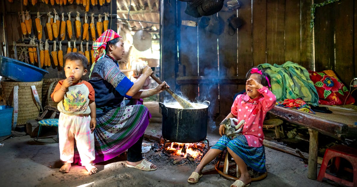 Cook Time vs. Cook Temp trade off - Side view of Asian woman in colorful outfit sitting with children and preparing food on bonfire in wooden rural barn in daytime