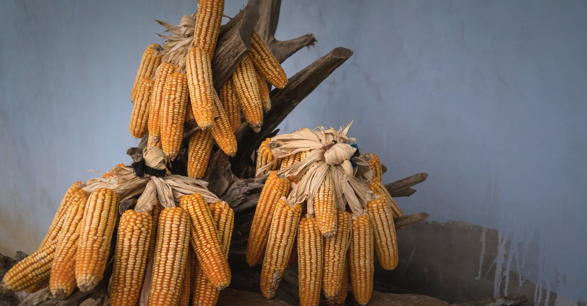 Cooking dried corn - Yellow Corns on Brown Tree Branch