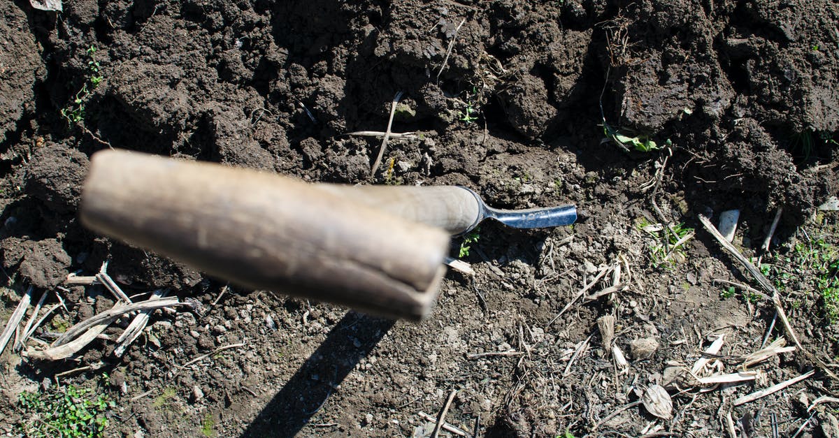 Cooking potato same day you dig up - Brown Shovel