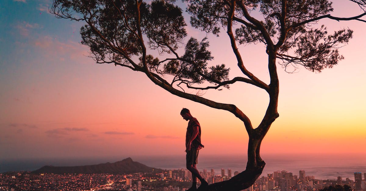 Create a water + baking soda solution? - Man Standing on Tree Branch during Sunset