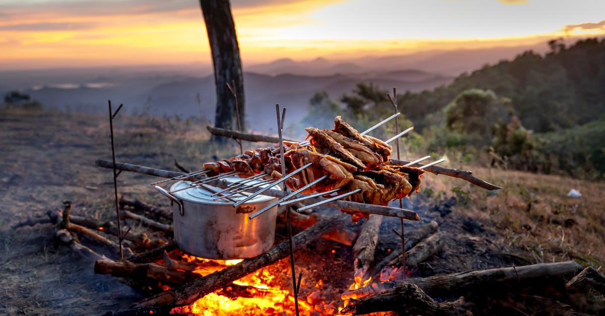 Crock pot times vs internal temperature vs meat size - Photo of Chicken Meat being Cooked Over a Campfire