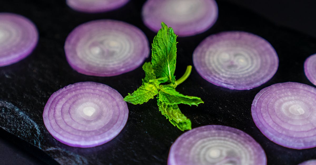 Crunchy onions in soup? - Red onion rings with bright mint leaf