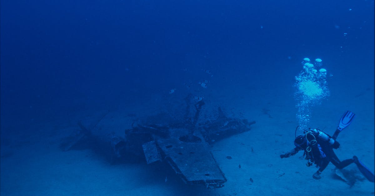 Damage to pan bottom - Anonymous diver swimming near sunken plane