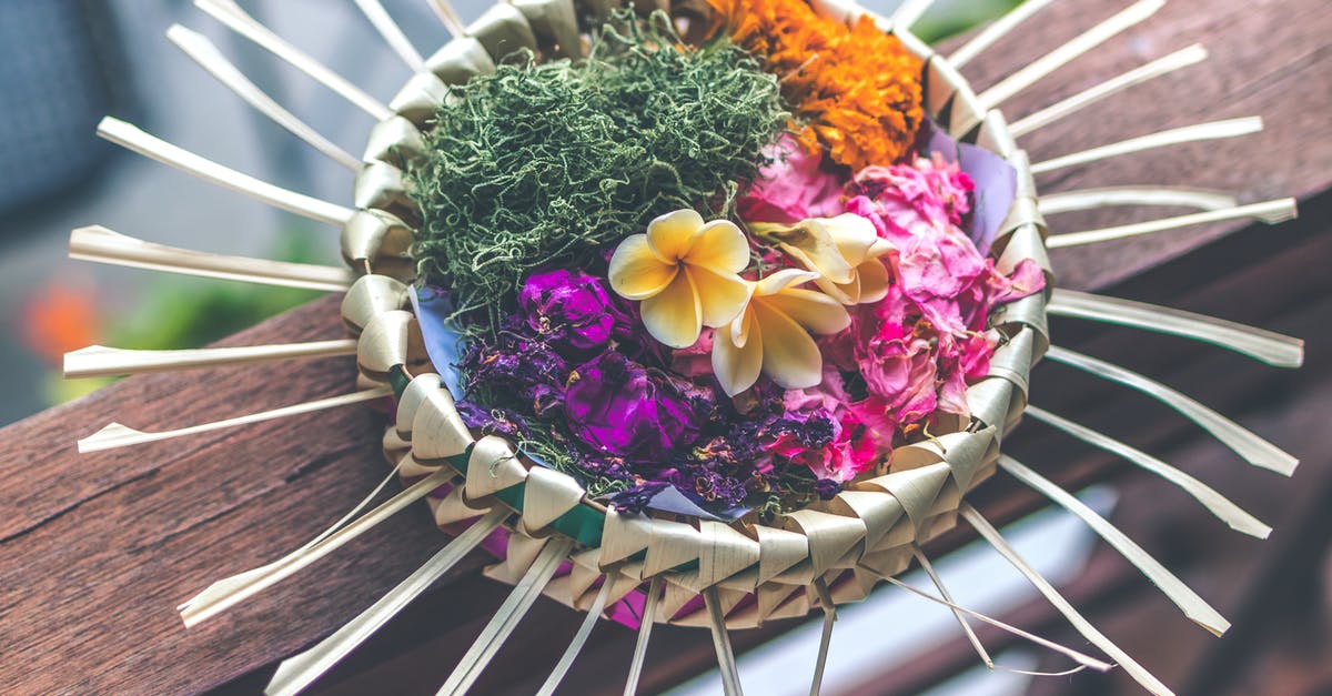 Day 8 of Sourdough Starter, is it still alive? - Shallow Focus Photography of Multicolored Floral Decor