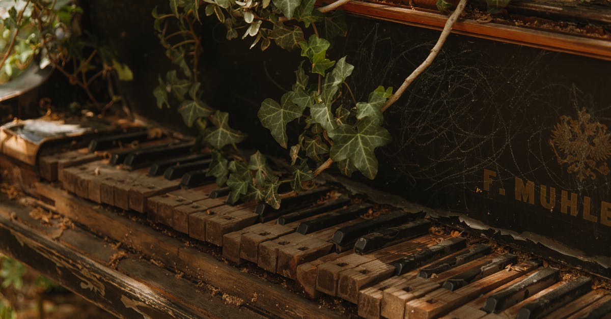 Defrosting meat - broken freezer [duplicate] - Green Leaves on Brown Wooden Frame