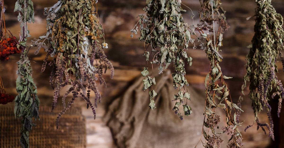 Dehydrating herbs - leaves vs. stems - a Collections of Dried Leaves and Flowers Hanging on Ropes