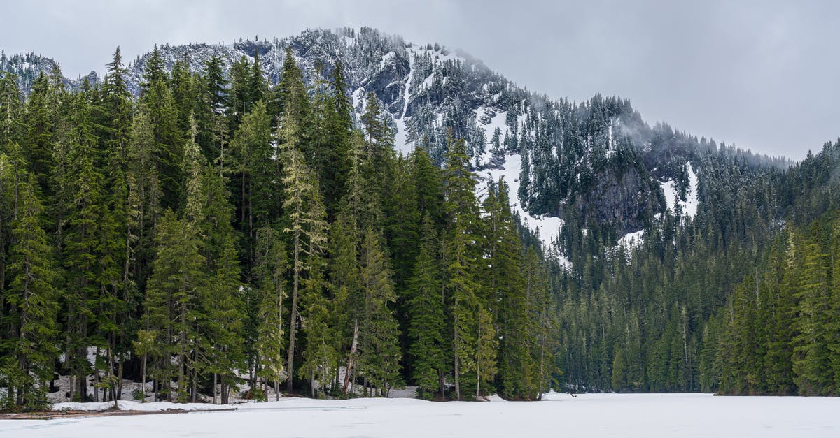 dehydrator temperatures - Mountains in Winter