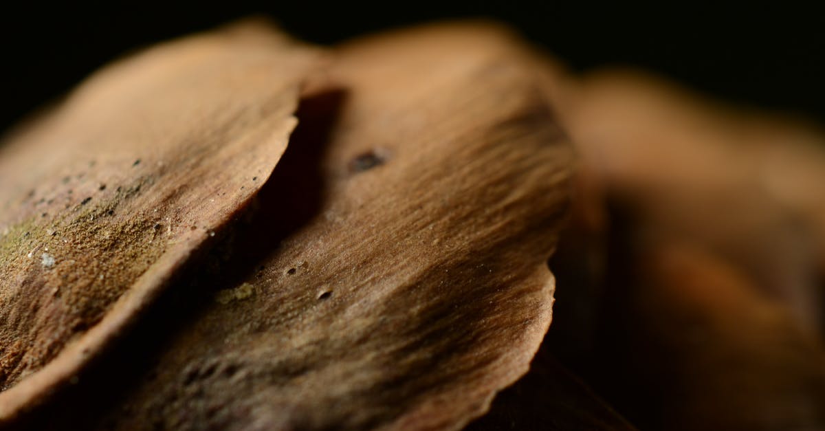 Difference in cookie texture if we use melted vs softened butter - Selective-focus Photography of Brown Surface