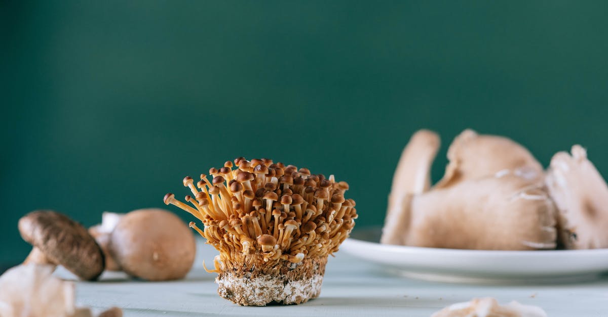 Differences in creme fraiche recipe - Nameko brown tiny mushrooms on table