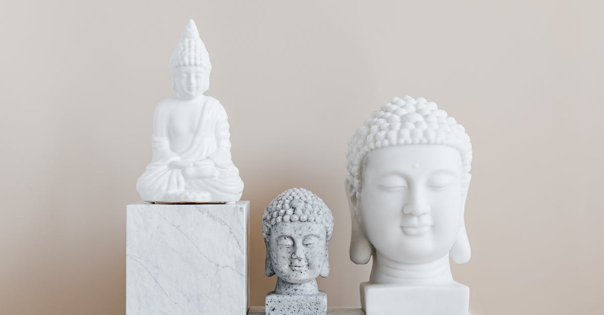 Different ways for aging steaks - Collection of Asian busts and statue of Buddha made of white and gray stone with smooth surface on marble pedestal