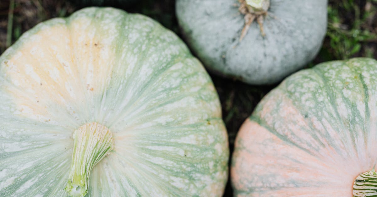 Discolouration when boiling green vegetables with lid on - Close up of Pumpkins