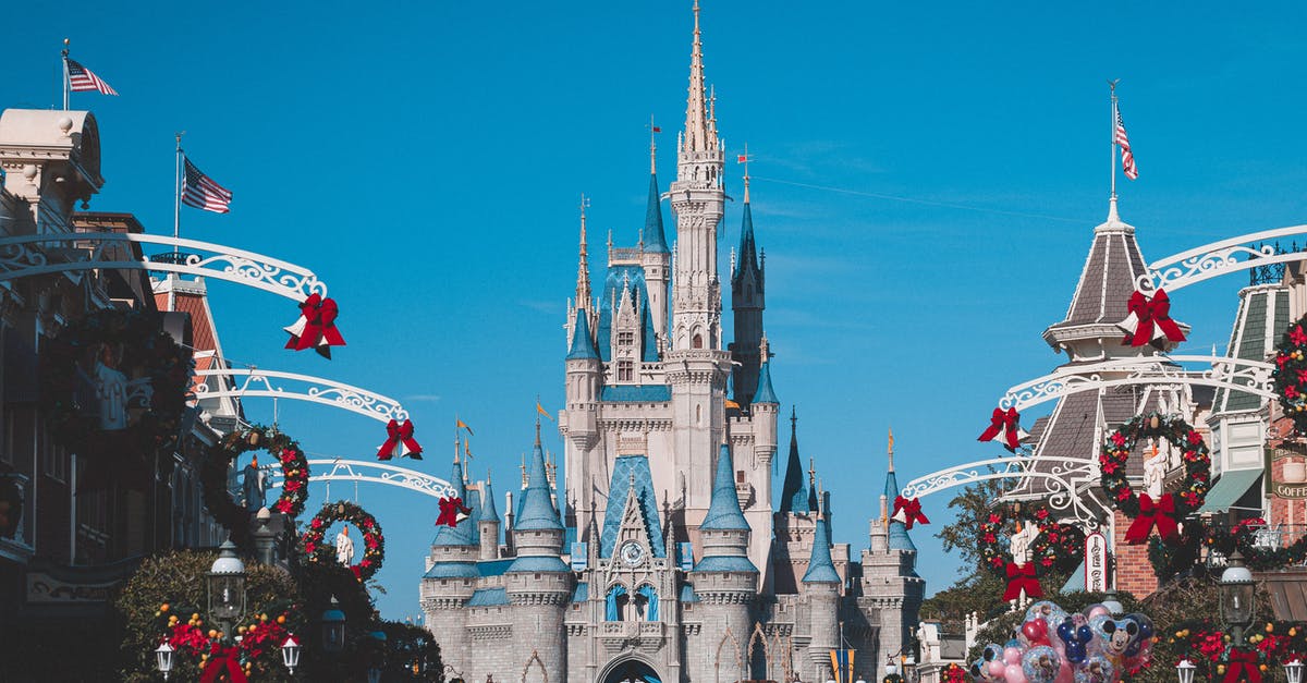 Disney dole whip variants - Photo Of Castle During Daytime