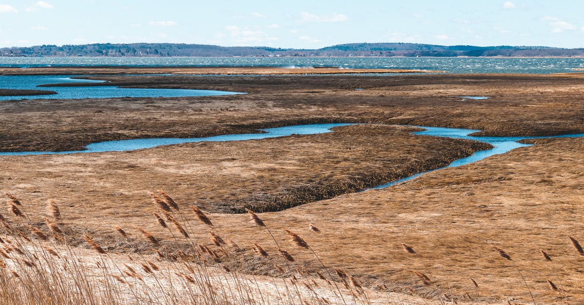 DIY Finishing Salt (Maldon, Fleur de Sel) -  Salt Marsh with Stream