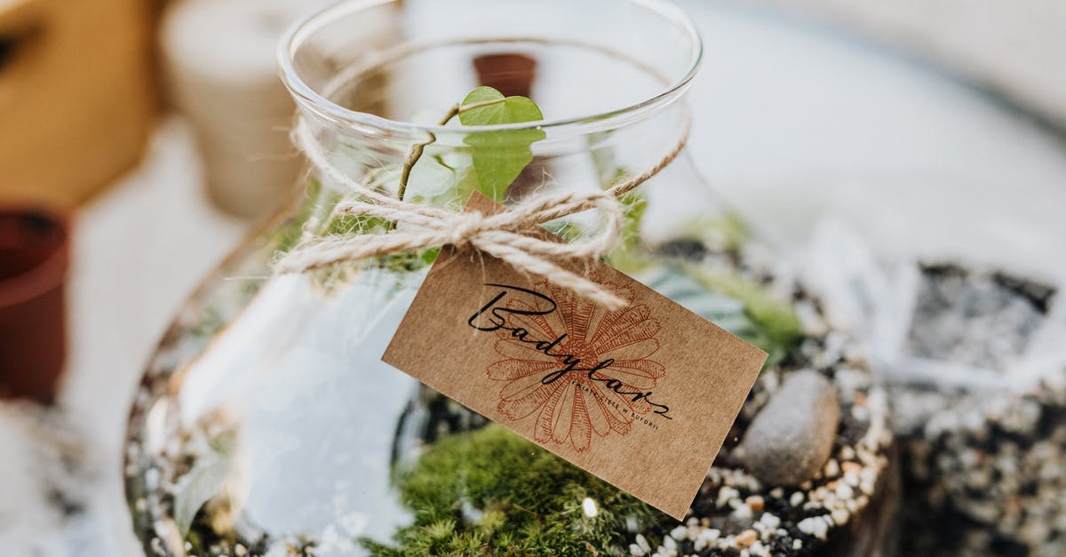 DIY herb preservation - Green Plant in Clear Glass Jar