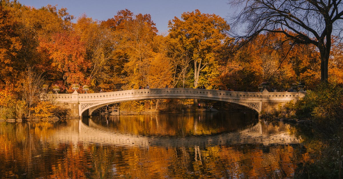 Do I need to season an old cast-aluminum pan? - Aged Bow Bridge crossing calm water of lake surrounded by autumn trees placed in Central Park in New York in sunny day