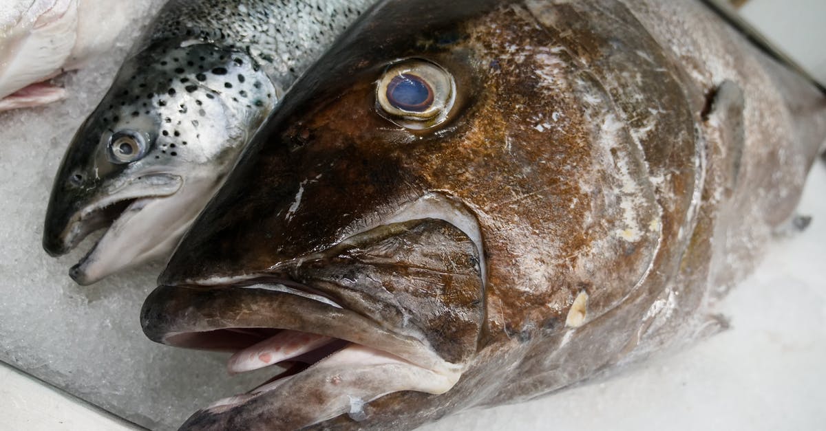 Do I thaw frozen sea food before cooking? - Silver Fish on White Textile