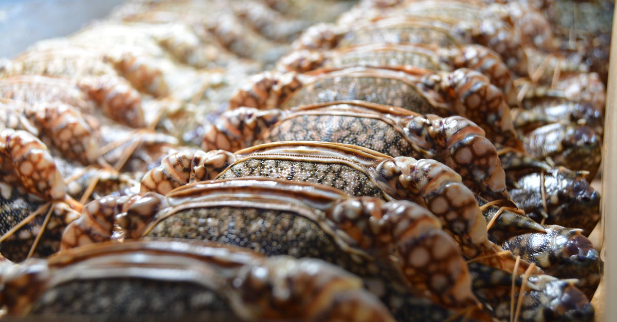 Do I thaw frozen sea food before cooking? - Close-up Photograph of Fresh Crab