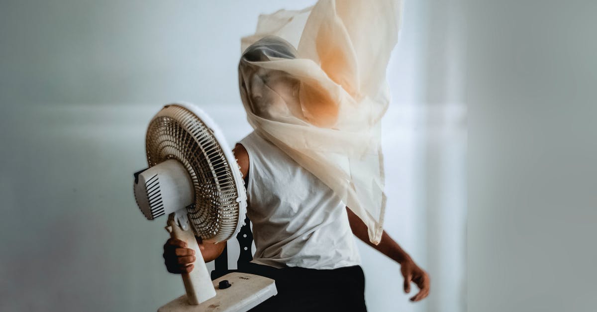 Do I use the Air Fry fan when baking with the Emeril 360 Air Fryer/Oven? - Photo Of Person Holding Electric Fan